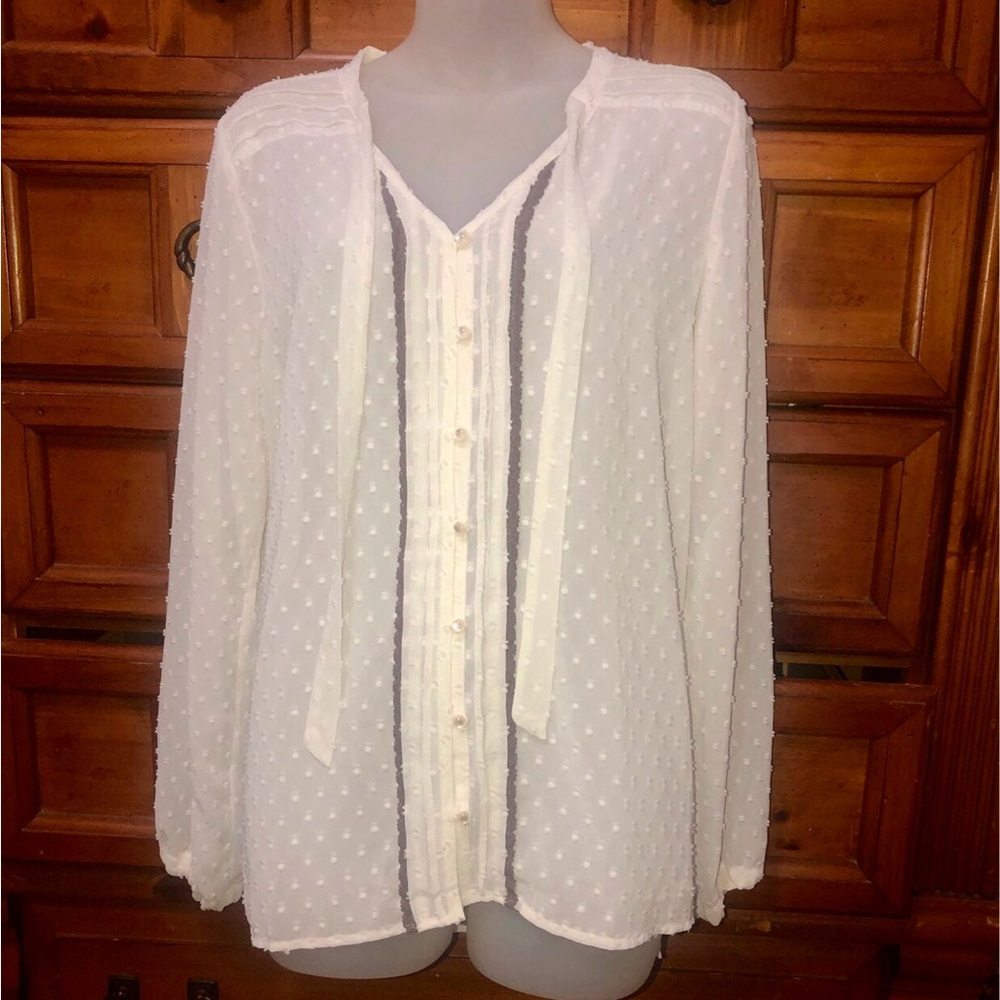 Matilda Jane Cream Swiss Dot  brown sheer Blouse. Size L
